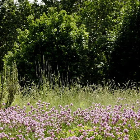 Maison Decoret - Relais & Chateaux Vichy